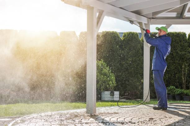 Best Soft Washing for Delicate Surfaces in Apalachin, NY