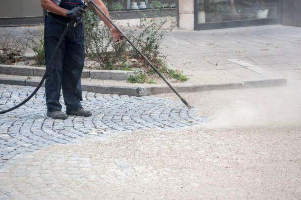 Best Building Exterior Pressure Washing in Apalachin, NY